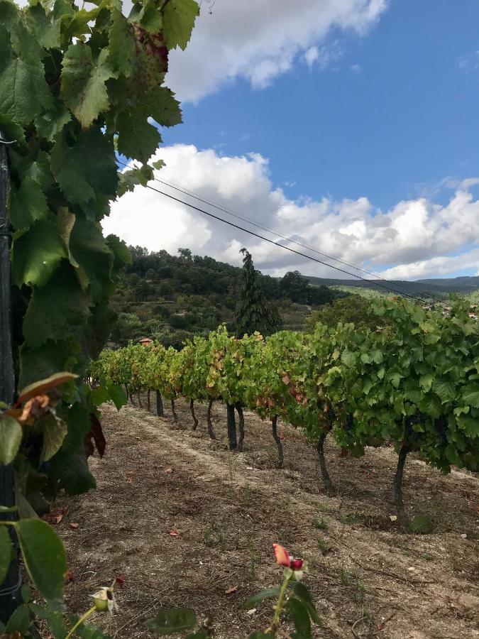 Private Douro- Quinta Das Susandas Mesão Frio Zewnętrze zdjęcie
