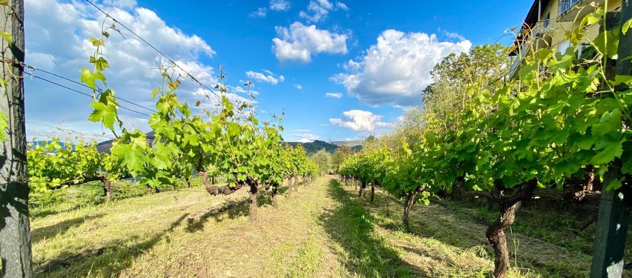 Private Douro- Quinta Das Susandas Mesão Frio Zewnętrze zdjęcie