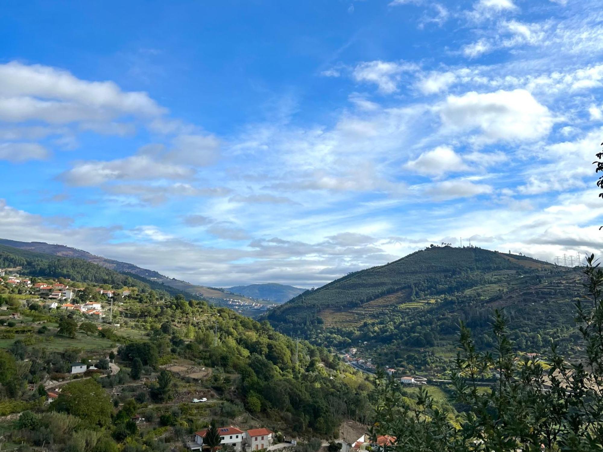 Private Douro- Quinta Das Susandas Mesão Frio Zewnętrze zdjęcie