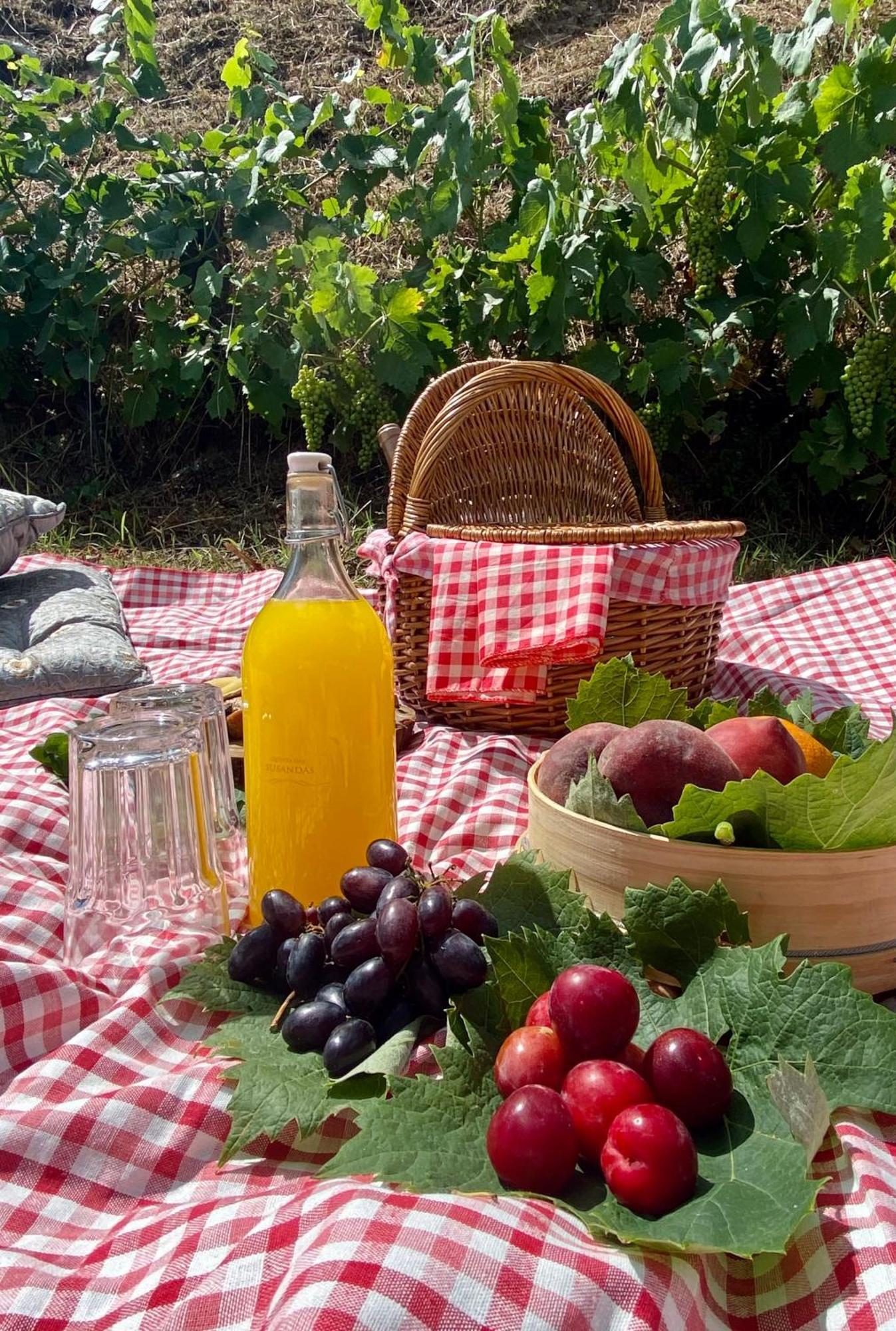 Private Douro- Quinta Das Susandas Mesão Frio Zewnętrze zdjęcie