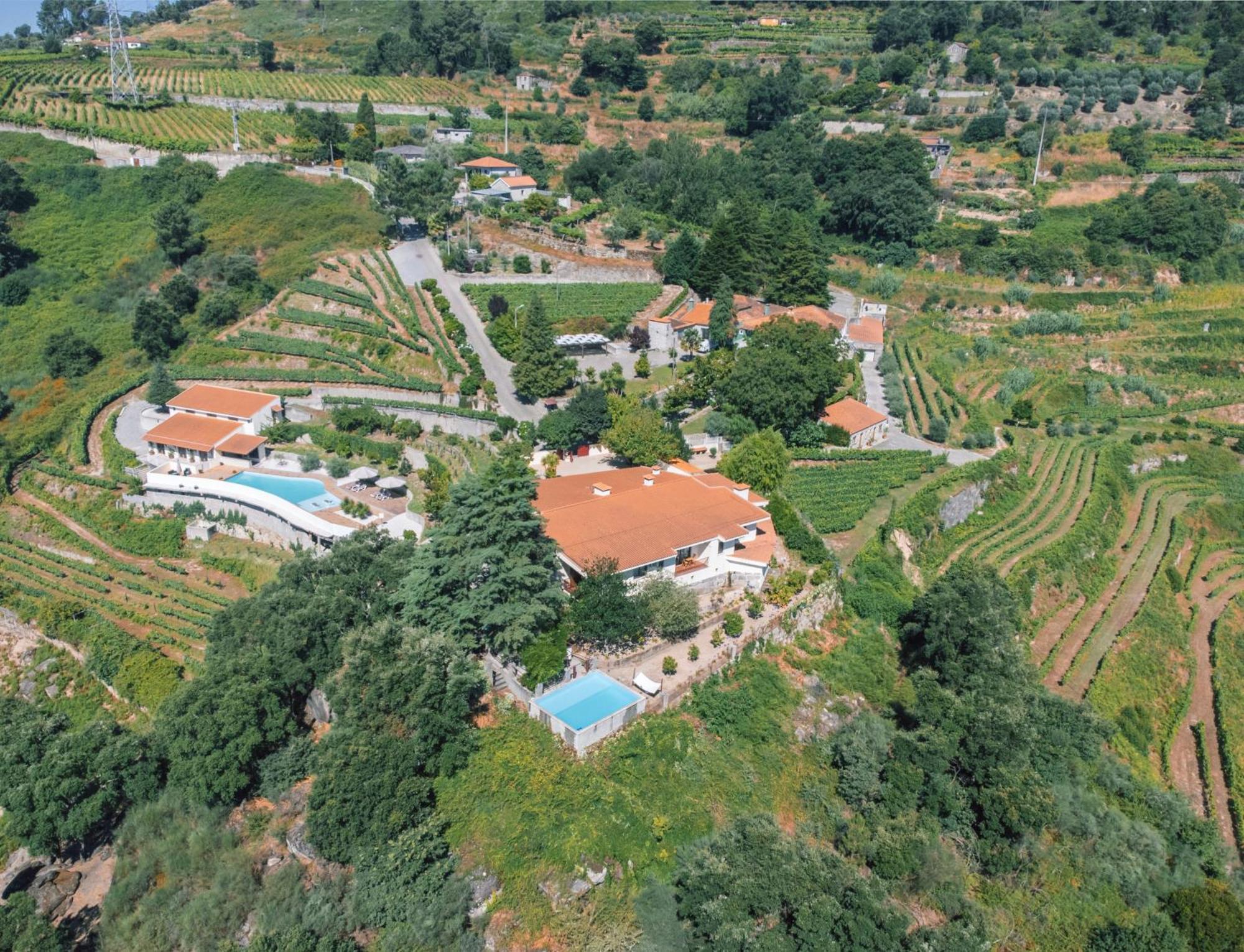 Private Douro- Quinta Das Susandas Mesão Frio Zewnętrze zdjęcie